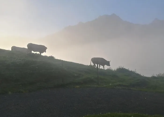 Apartment 6 Places *